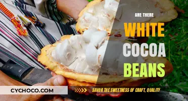 Exploring the Rarity: Are There Truly White Cocoa Beans?