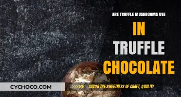 Truffle Mushrooms in Chocolate: Myth, Reality, or Culinary Delight?