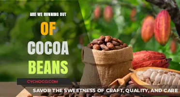 The Bitter Truth: Are We Running Out of Cocoa Beans?