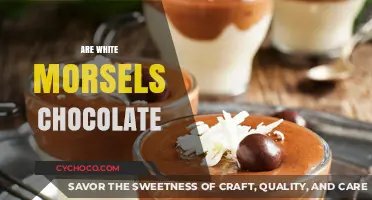 Decoding the Mystery: Are White Morsels Truly Chocolate?