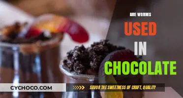 Unraveling the Myth: Are Worms Secretly Used in Chocolate Production?