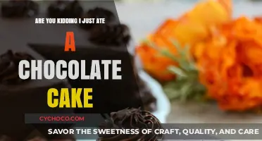 Indulgence Unveiled: Confessions of a Chocolate Cake Devourer