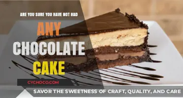 Indulge in the Sweet Illusion: Have You Truly Resisted Chocolate Cake?
