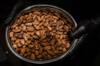 bean cocoa