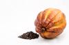 bean cocoa