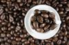 bean cocoa