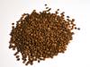 bean cocoa