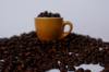 bean cocoa