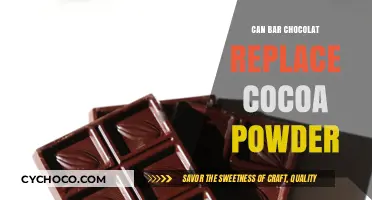 Sweet Swap: Can Bar Chocolate Replace Cocoa Powder?