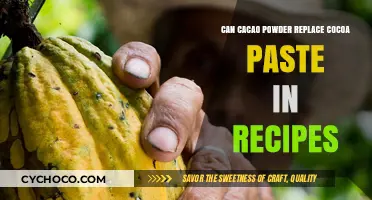 Exploring the Richness: Can Cacao Powder Replace Cocoa Paste?