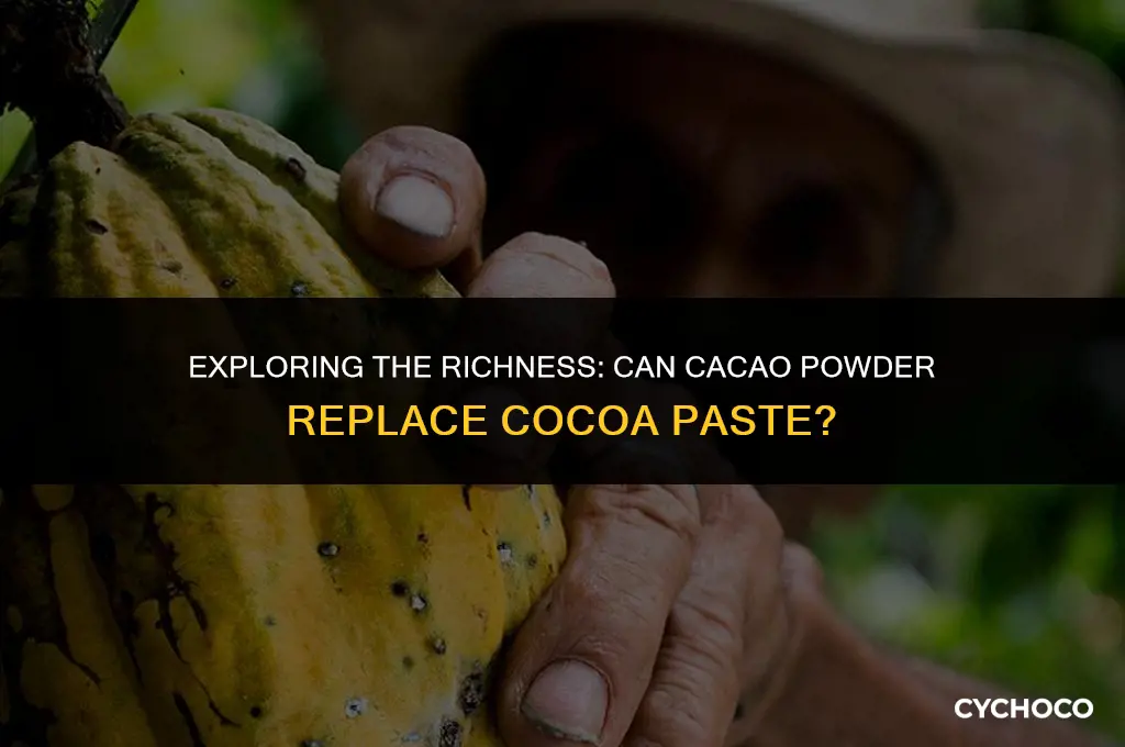can cacao powder replace cocoa paste in recipes