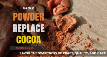 Exploring the Interchangeability of Cacao and Cocoa Powders in Recipes