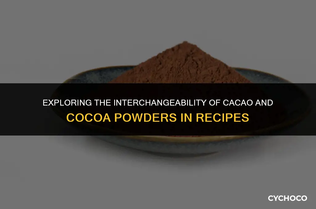 can cacao powder replace cocoa