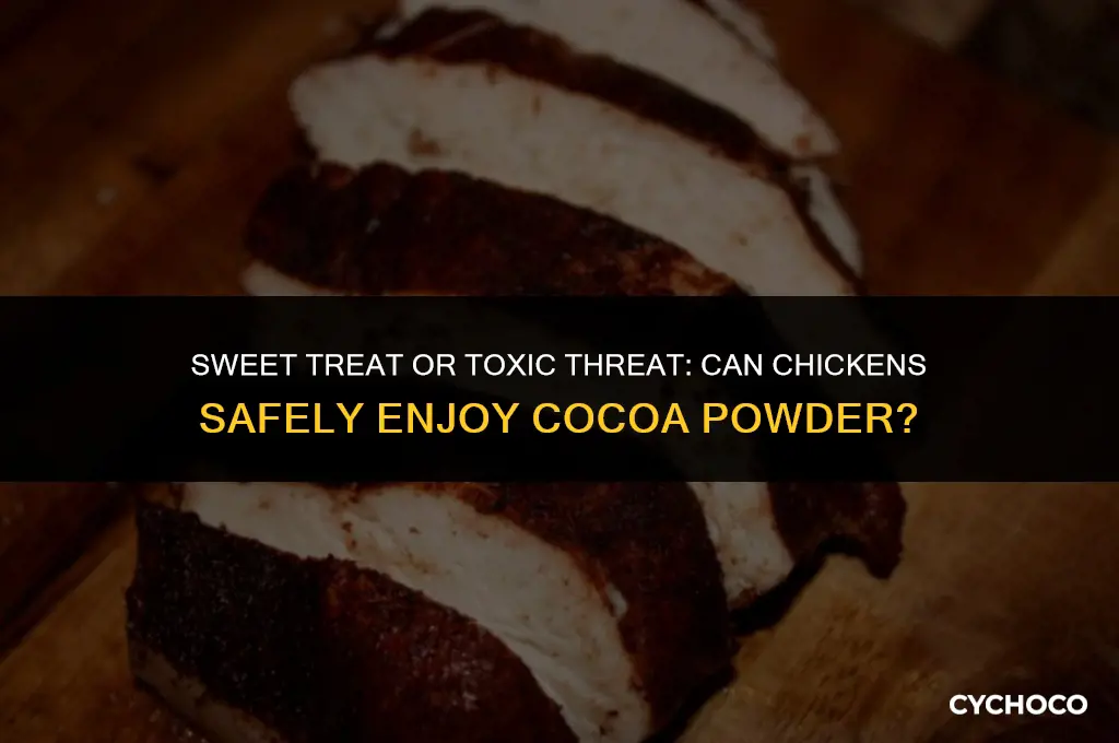 can chickens eat cocoa powder