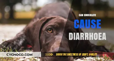 Can Chocolate Cause Diarrhea? Unraveling the Sweet Truth