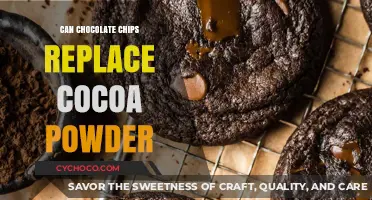 Sweet Substitutions: Can Chocolate Chips Replace Cocoa Powder?