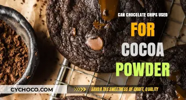 Sweet Substitutions: Can Chocolate Chips Replace Cocoa Powder?