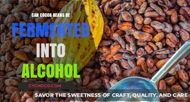 Exploring the Fermentation of Cocoa Beans into Alcohol: A Journey Through Chocolate's Lesser-Known Cousin