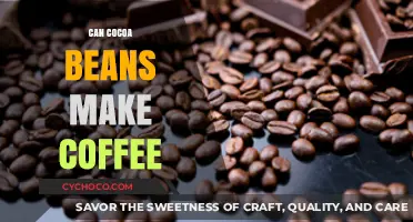 Exploring the Rich World of Cocoa Beans and Coffee