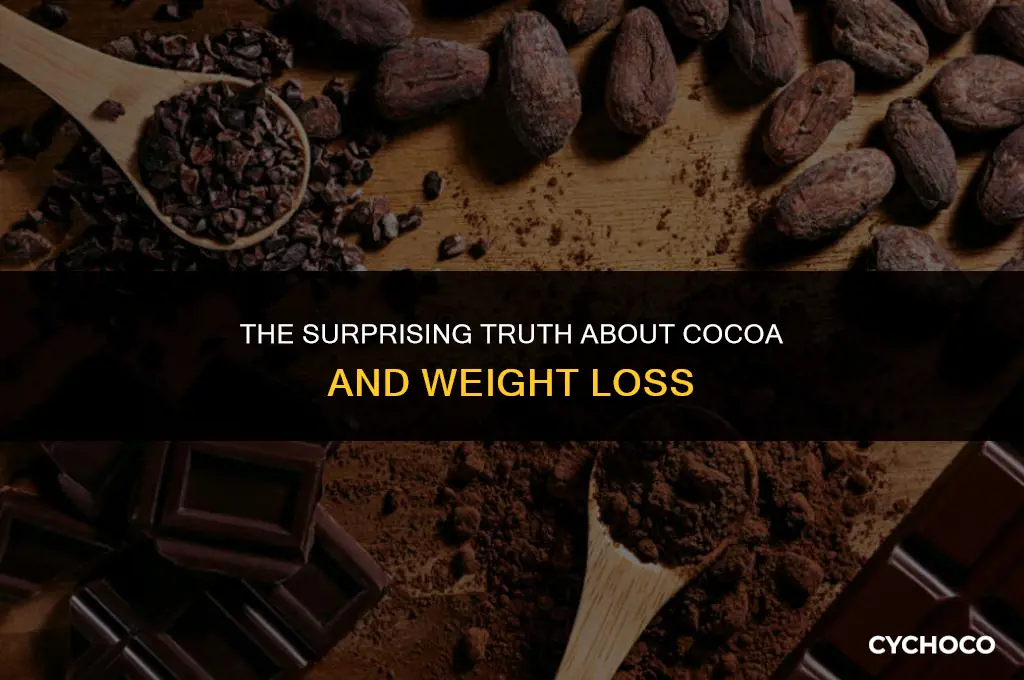 can cocoa make you lose weight