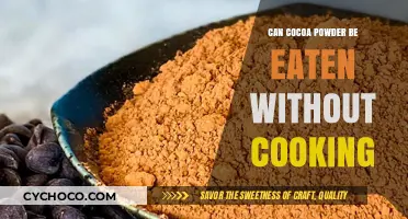 Exploring the Edibility of Cocoa Powder in Its Raw Form