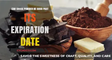 Exploring the Shelf Life: Can Cocoa Powder Remain Good Past Its Expiration Date?