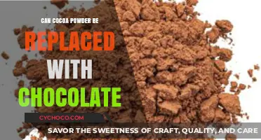 Sweet Substitutions: Can Cocoa Powder Be Replaced with Chocolate?