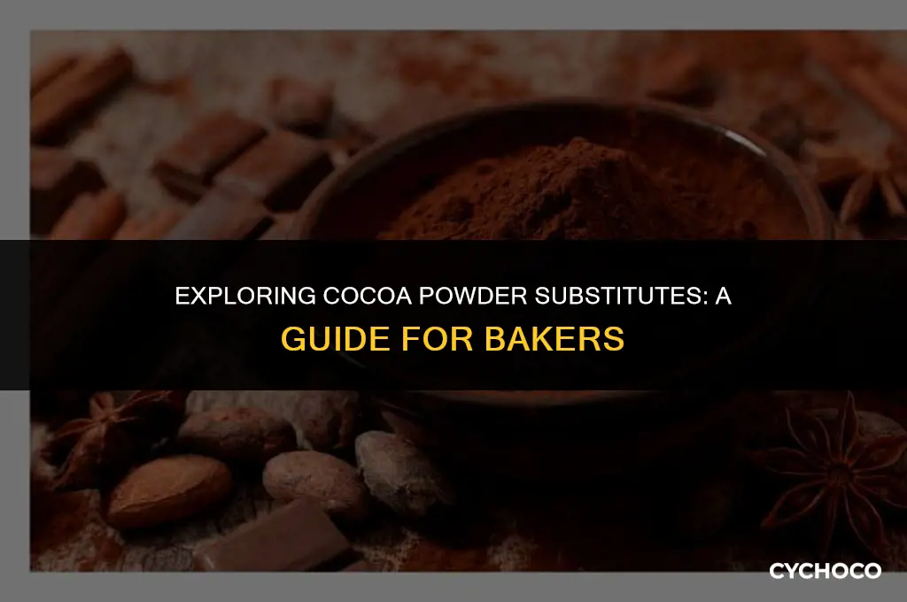 can cocoa powder be substituted for raw cocoa powder