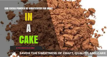 Sweet Swaps: Cocoa Powder's Versatile Role in Cake Recipes