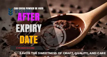 Exploring the Shelf Life: Can Cocoa Powder Be Used After Its Expiry Date?