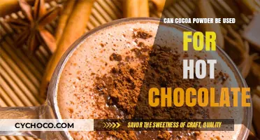 From Cocoa Powder to Hot Chocolate: A Delicious Transformation