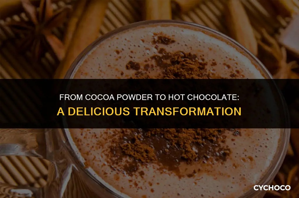 can cocoa powder be used for hot chocolate