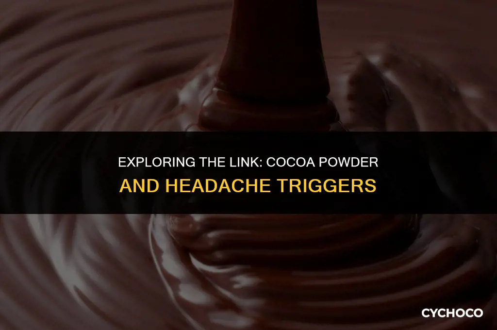 can cocoa powder cause headaches