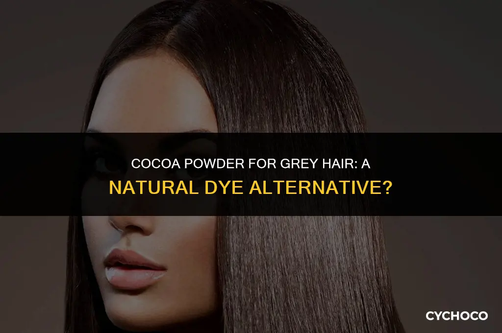 can cocoa powder cover grey hair