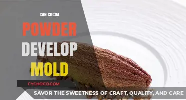 The Surprising Truth About Cocoa Powder and Mold Growth