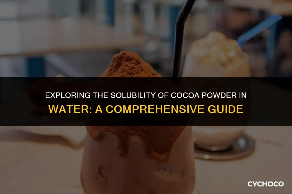 can cocoa powder dissolve in water