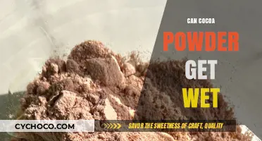Exploring the Effects of Moisture on Cocoa Powder Quality