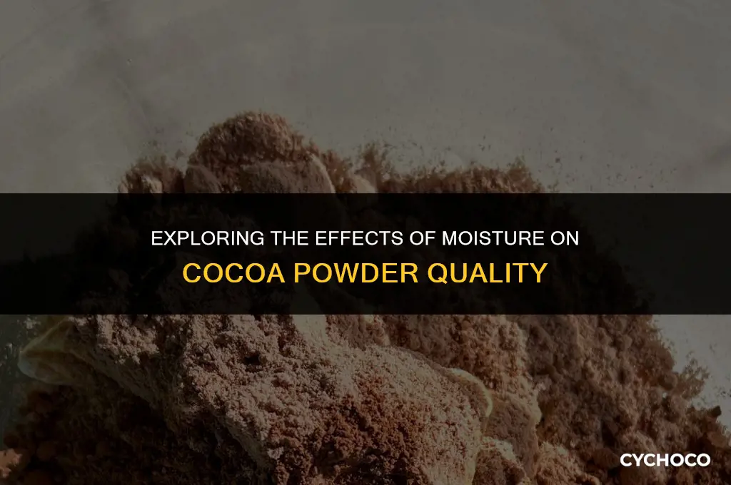can cocoa powder get wet