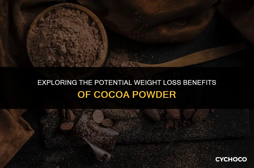 can cocoa powder help in weight loss
