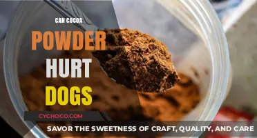 Cocoa Powder and Canines: Understanding the Risks and Symptoms