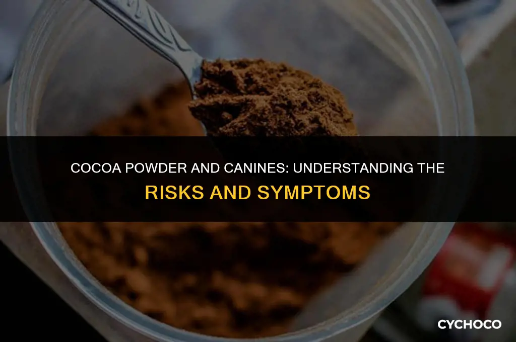 can cocoa powder hurt dogs