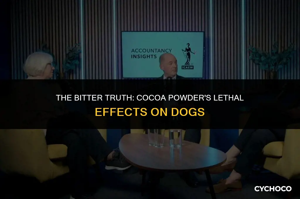 can cocoa powder kill a dog
