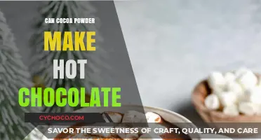 From Cocoa Powder to Hot Chocolate: A Delicious Transformation