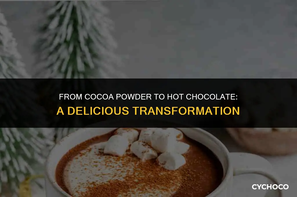 can cocoa powder make hot chocolate