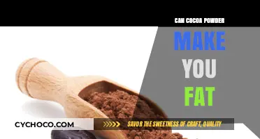 The Truth About Cocoa Powder: Does It Really Cause Weight Gain?