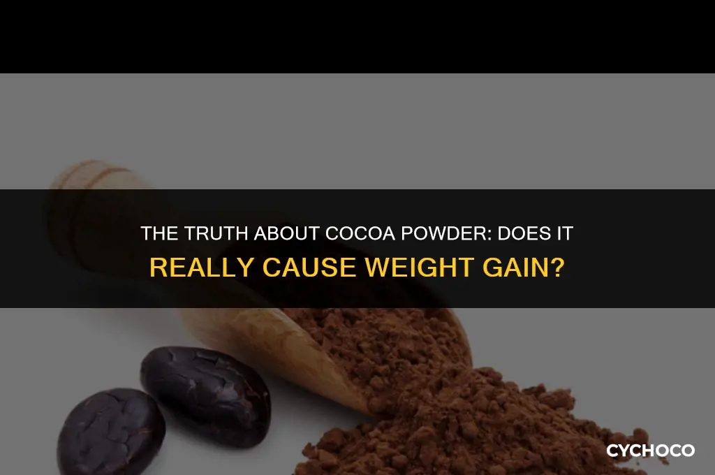 can cocoa powder make you fat