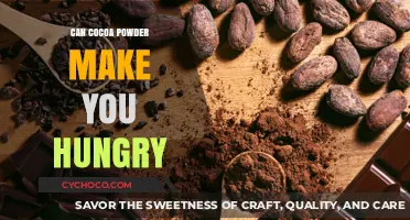 The Surprising Truth About Cocoa Powder and Hunger Cravings