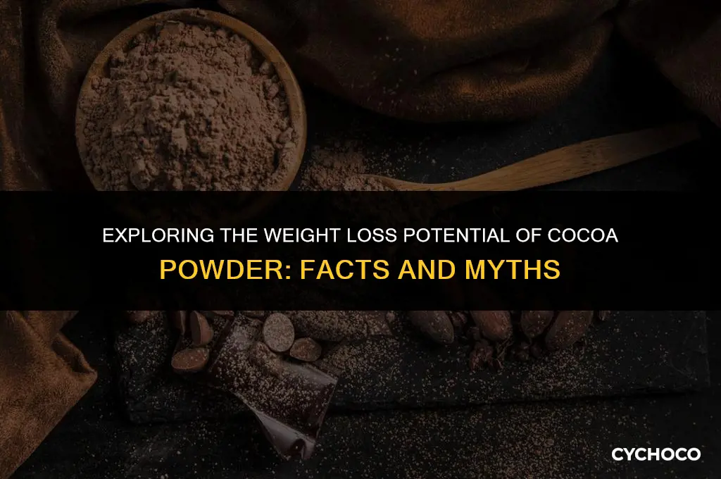 can cocoa powder make you lose weight