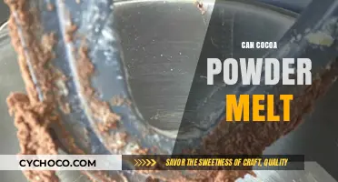 The Surprising Truth About Cocoa Powder: Does It Really Melt?