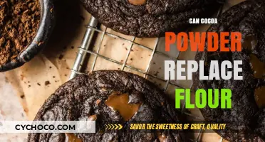 Exploring the Versatility of Cocoa Powder in Baking